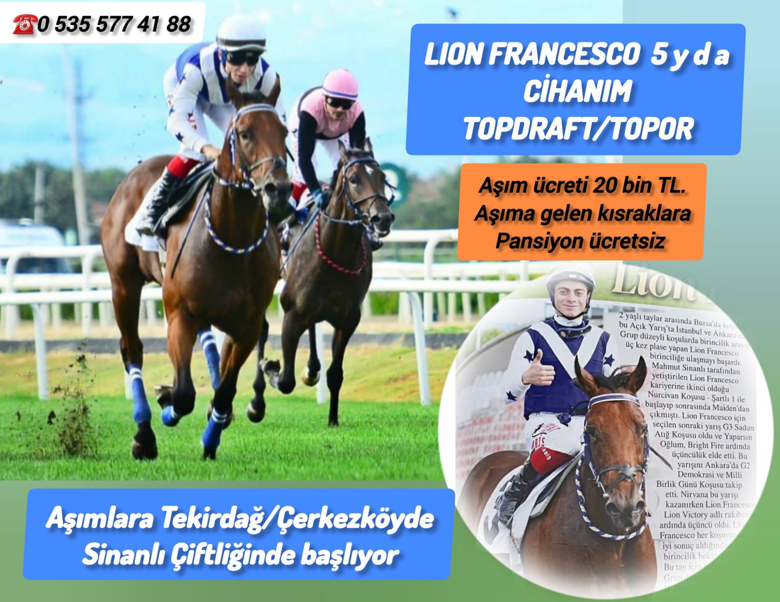 5 YAŞINDA GENÇ AYGIRIMIZ LION FRANCESCO 20 BİN TL AŞIM ÜCRETİYLE TEKİRDAĞ/ÇERKEZKÖY SİNANLI ÇİFTLİĞİNDE AŞIMLARA BAŞLADI